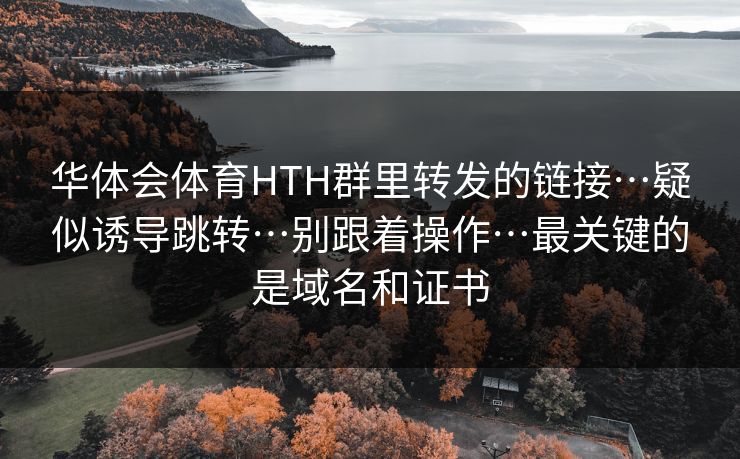 华体会体育HTH群里转发的链接…疑似诱导跳转…别跟着操作…最关键的是域名和证书