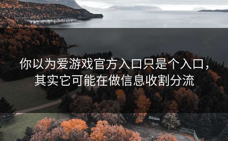 你以为爱游戏官方入口只是个入口，其实它可能在做信息收割分流