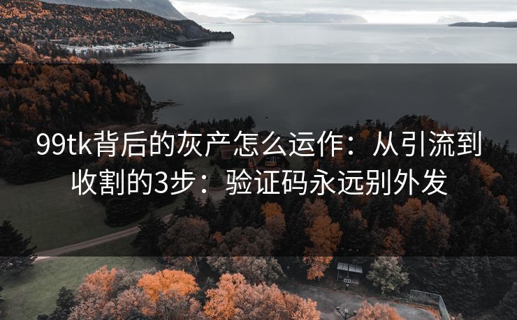 99tk背后的灰产怎么运作:从引流到收割的3步:验证码永远别外发 99tk背后的灰产怎么运作:从引流到收割的3步:验证码永远别外发