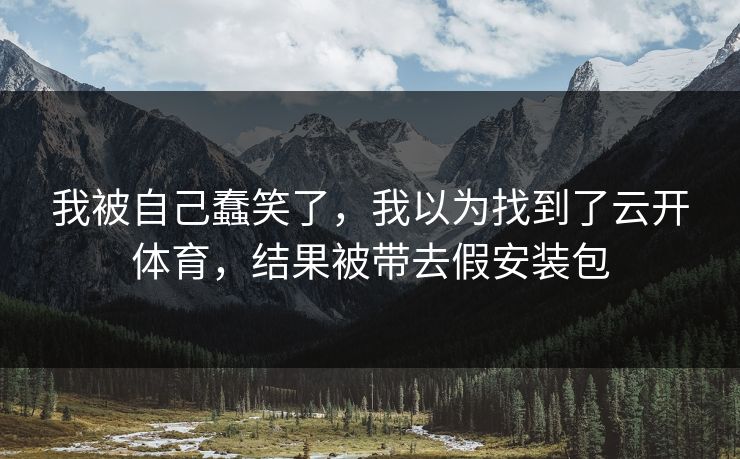 我被自己蠢笑了，我以为找到了云开体育，结果被带去假安装包