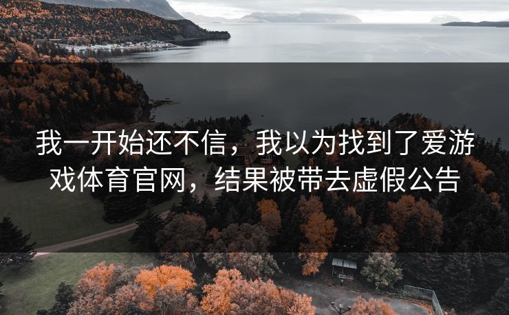 我一开始还不信，我以为找到了爱游戏体育官网，结果被带去虚假公告